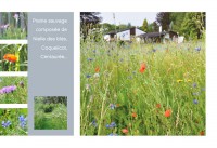 /album/nos-realisations/page40-jpg/